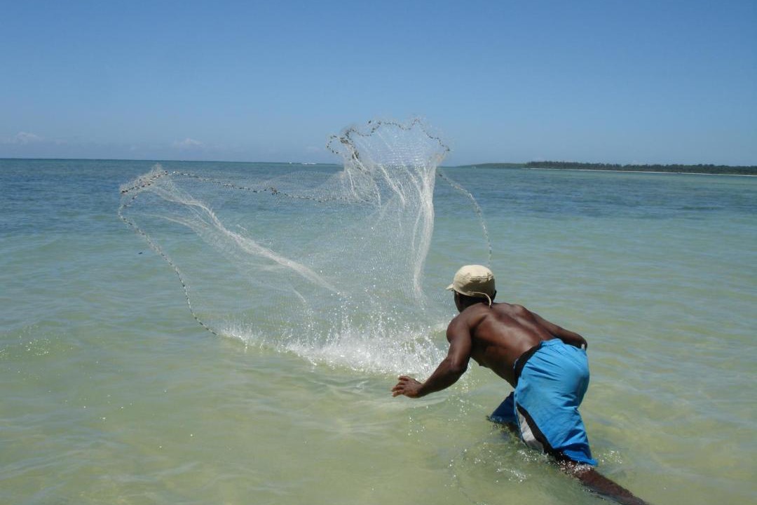 Photo of Others in Ilha de Boipeba