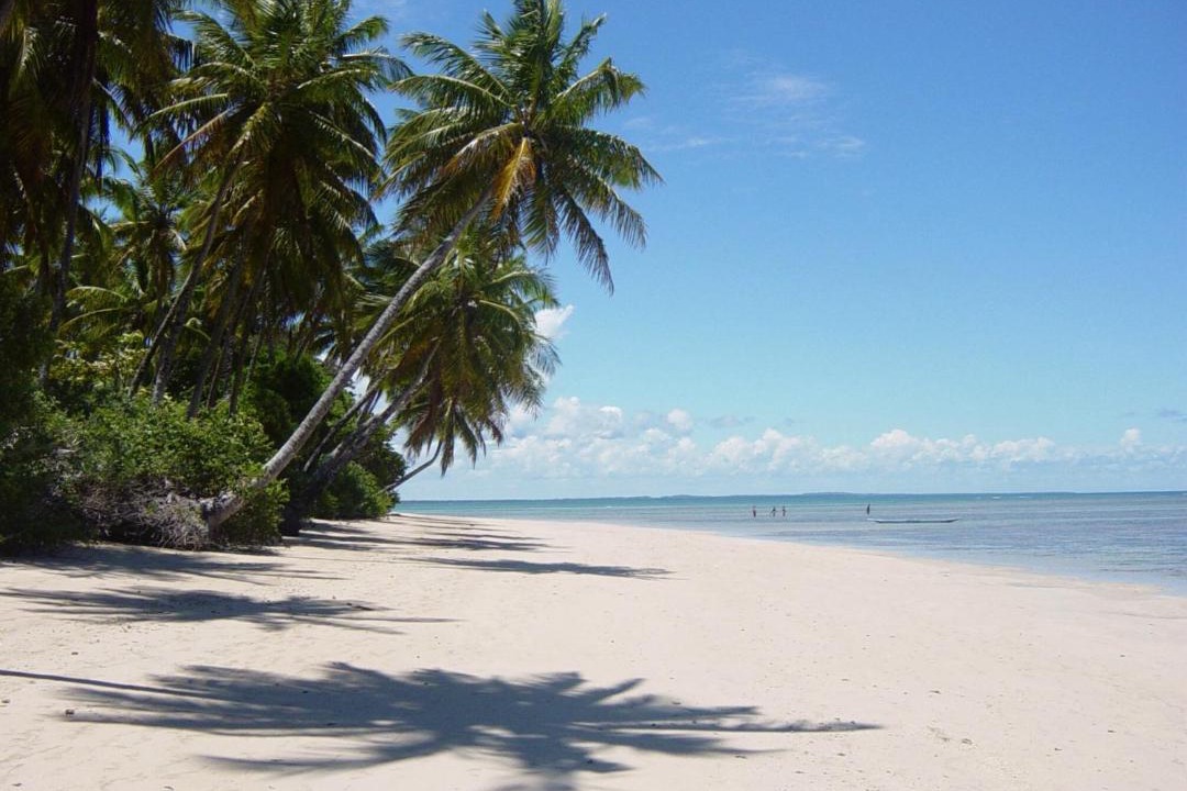 Photo of Others in Ilha de Boipeba