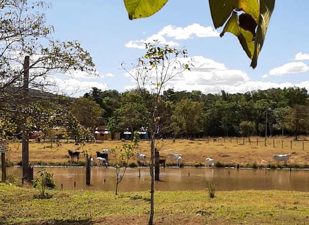Photo of Others in Pirenopolis