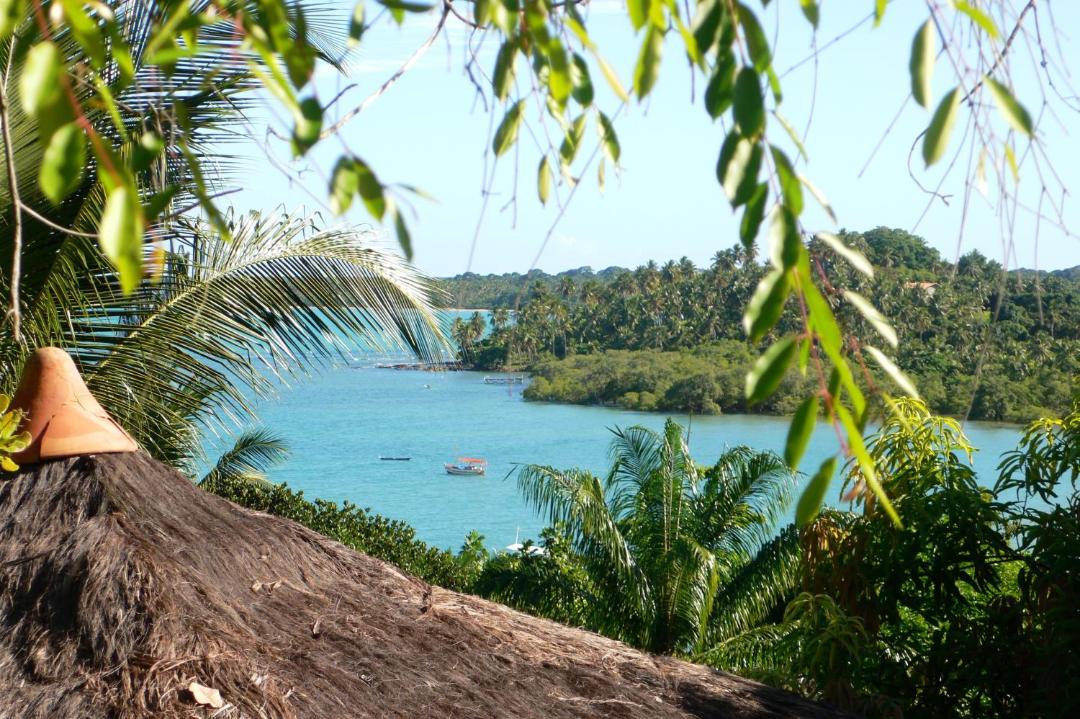 Photo of Others in Ilha de Boipeba