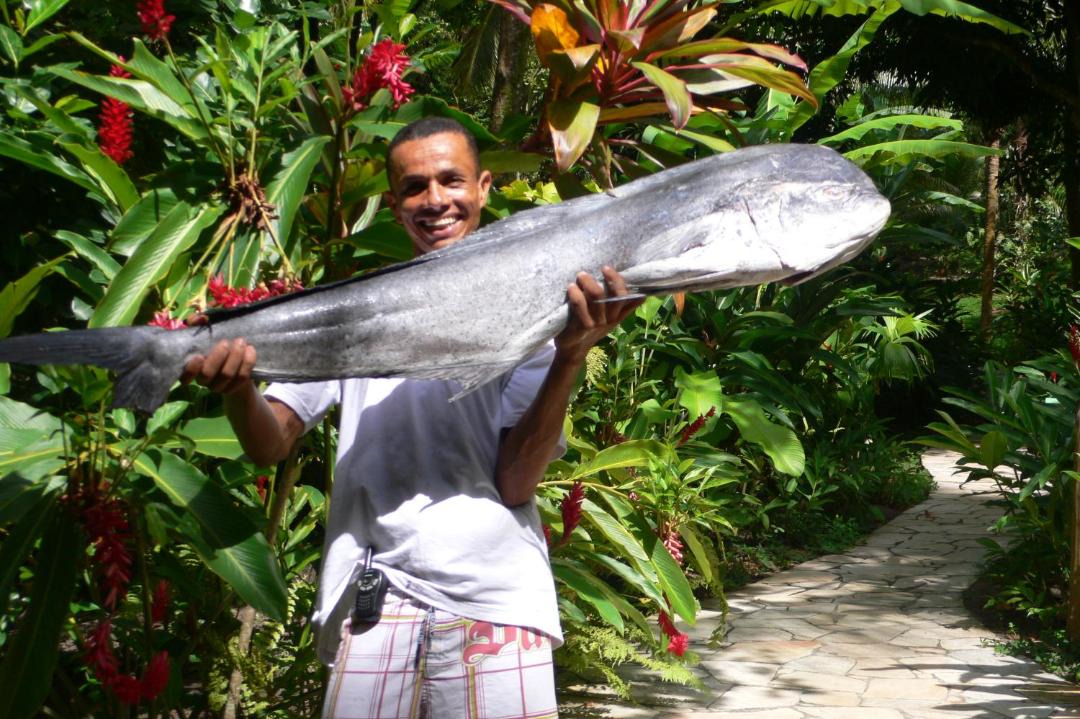 Photo of Others in Ilha de Boipeba