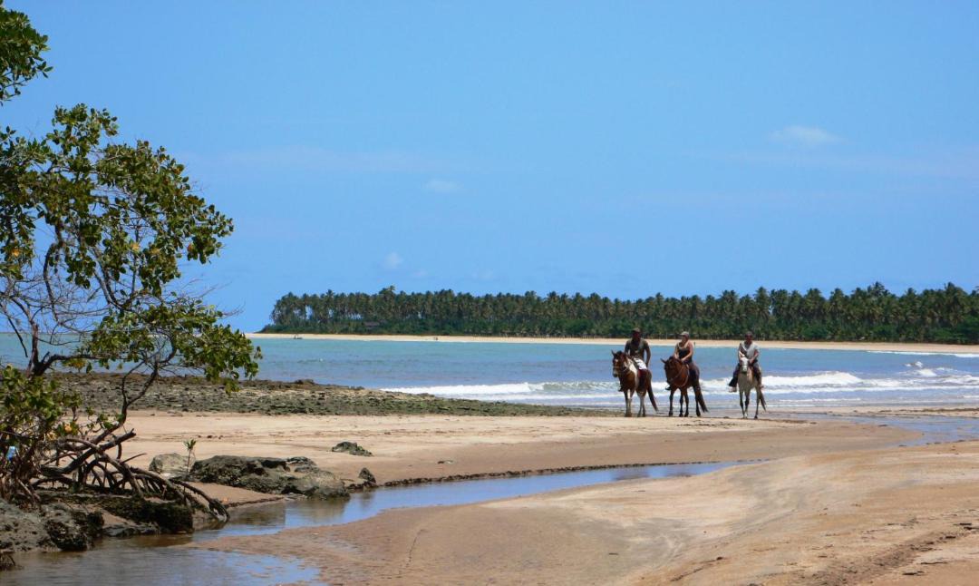 Photo of Others in Ilha de Boipeba