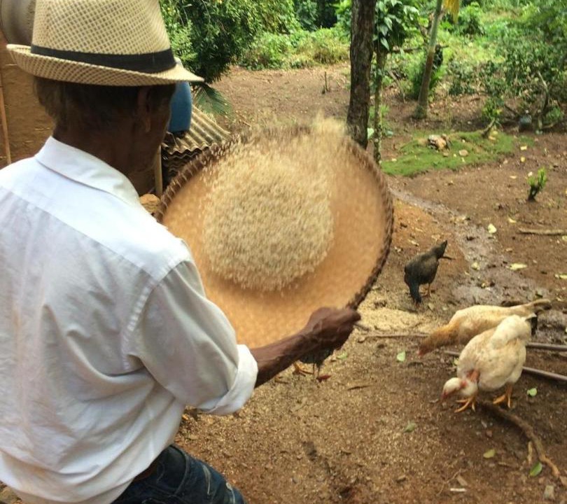 Photo of Others in Iporanga