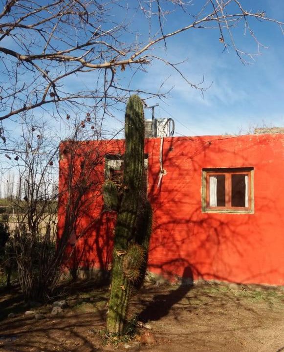 Photo of Others in San Agustin de Valle Fertil