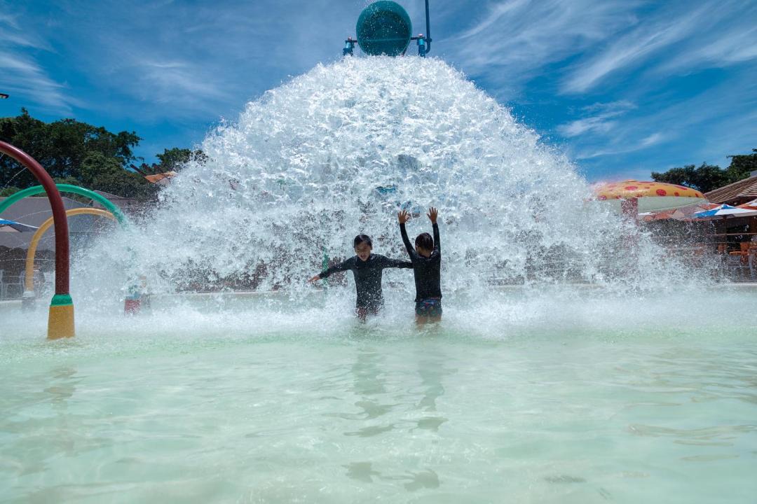 Photo of Others in Taperapua Beach