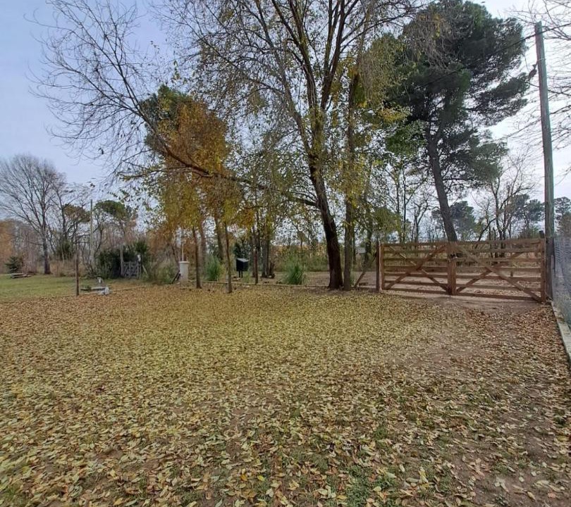 Photo of Others in Los Reartes