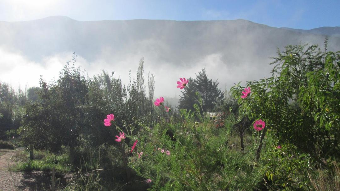 Photo of Others in Tilcara