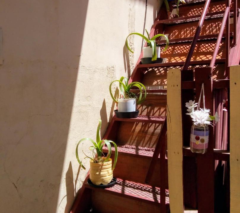 Photo of Others in Humahuaca