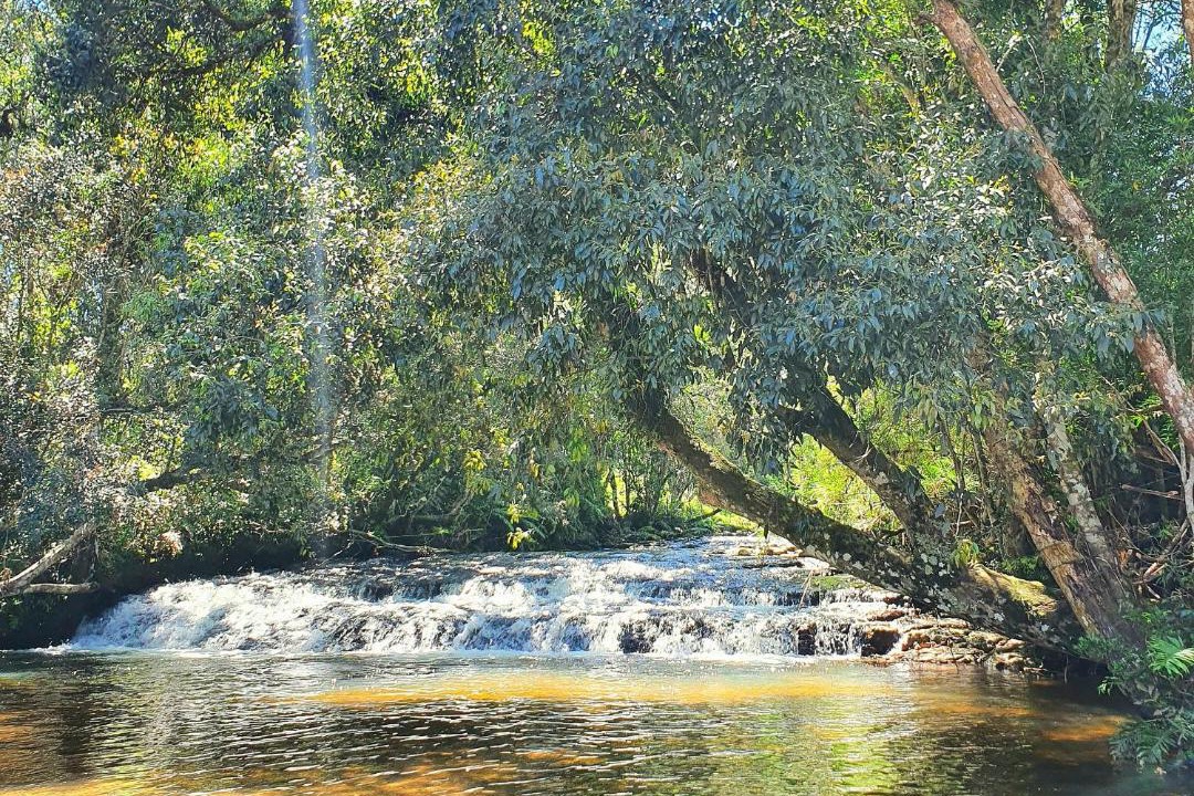 Photo of Others in Rancho Queimado