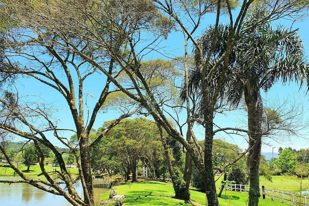 Photo of Others in Rancho Queimado