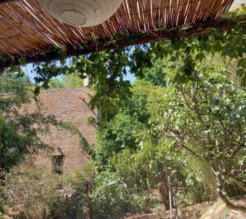 Photo of Outdoor in Cruz Chica