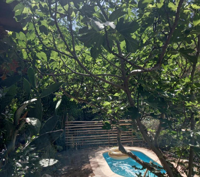 Photo of Outdoor in Cruz Chica