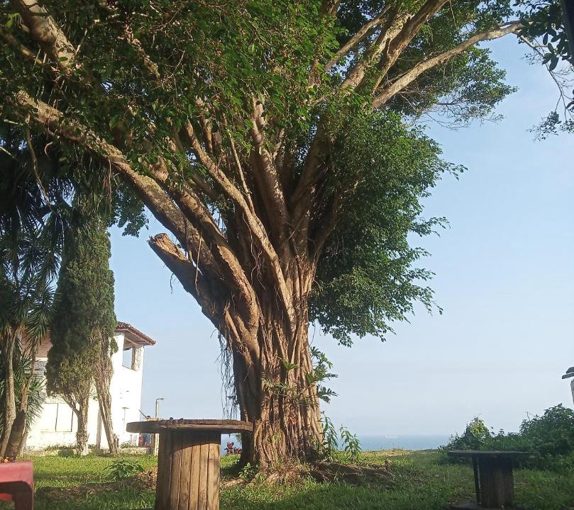Photo of Others in Peninsula