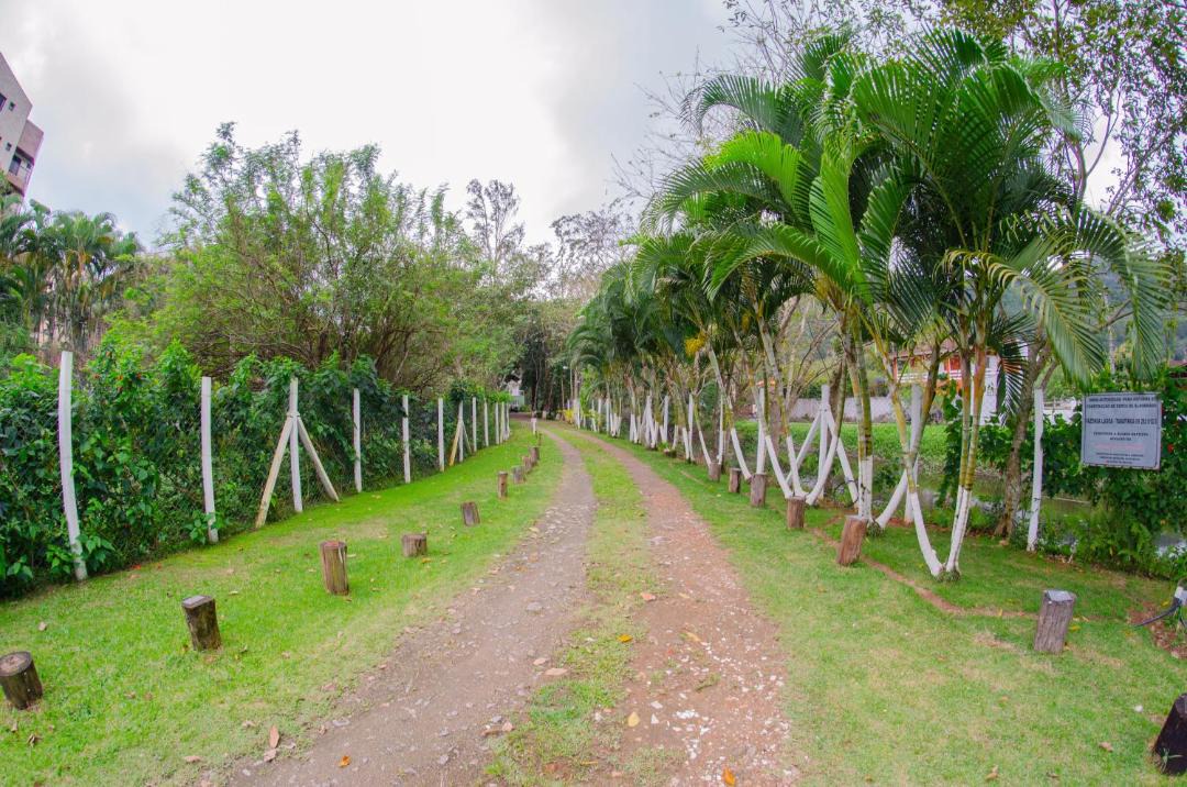 Photo of Others in Tabatinga