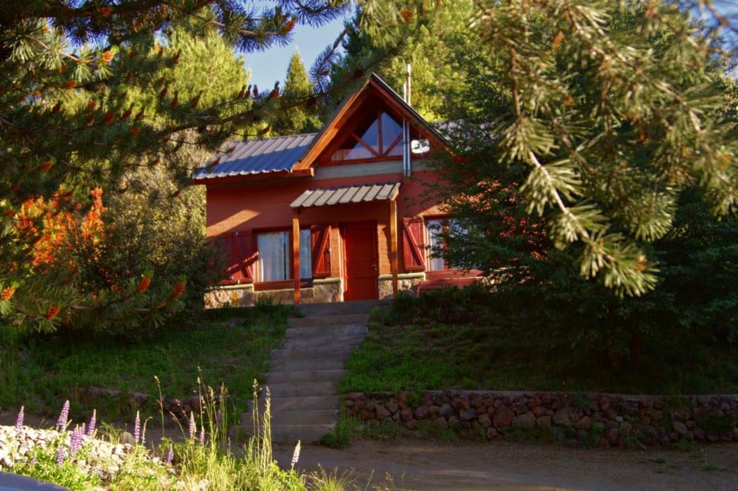 Photo of Others in Villa Pehuenia