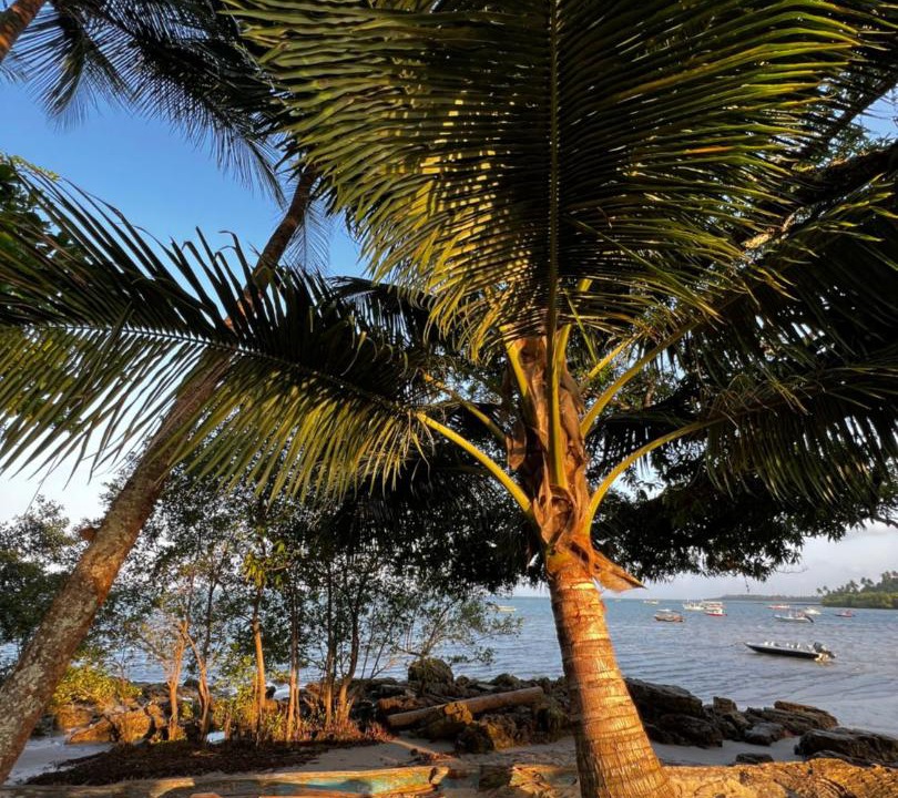 Photo of Others in Ilha de Boipeba