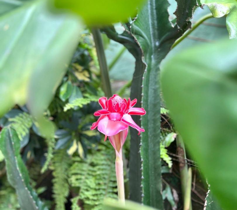 Photo of Outdoor in Agua Branca