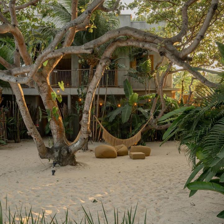 Photo of Others in Jijoca de Jericoacoara