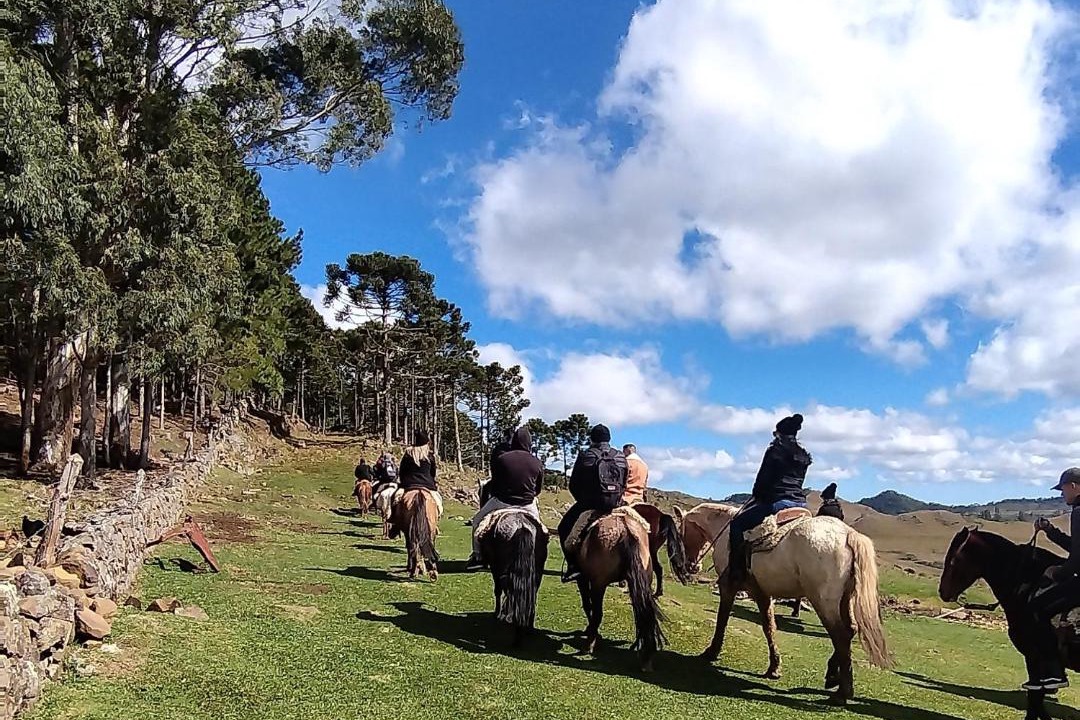 Photo of Others in Bom Jardim da Serra