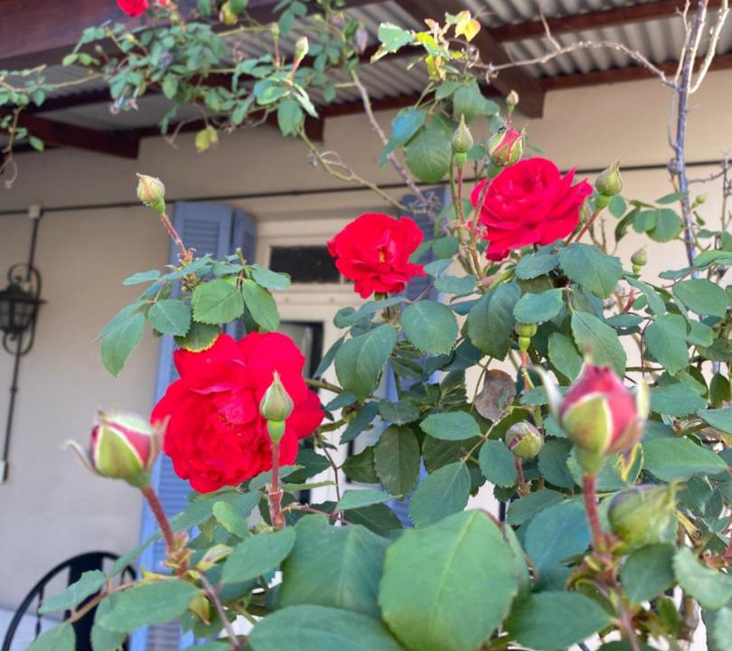 Photo of Patio Balcony in Navarro