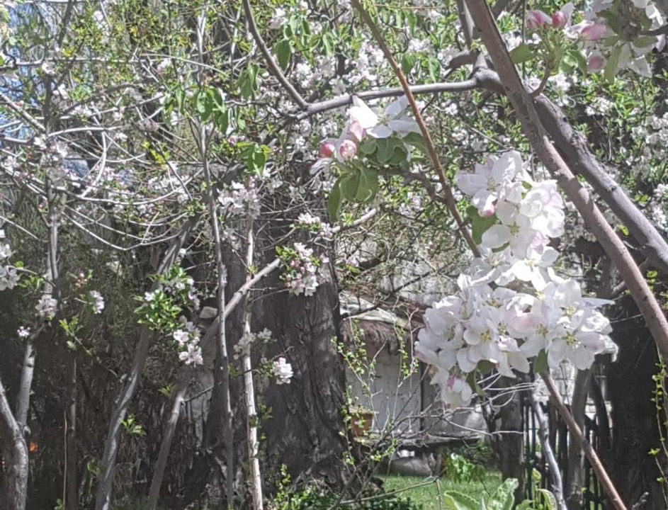 Photo of Outdoor in Loncopue Department