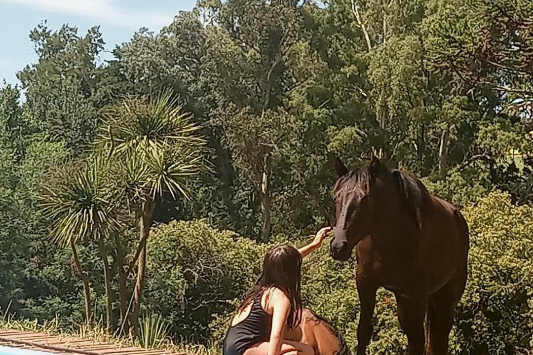 Photo of Others in Tandil