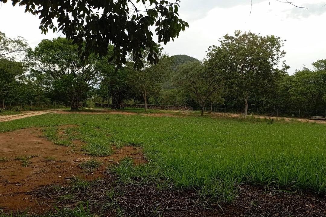 Photo of Others in Cavalcante