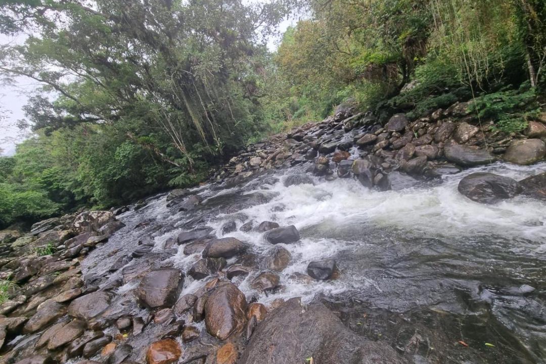 Photo of Others in Itariri