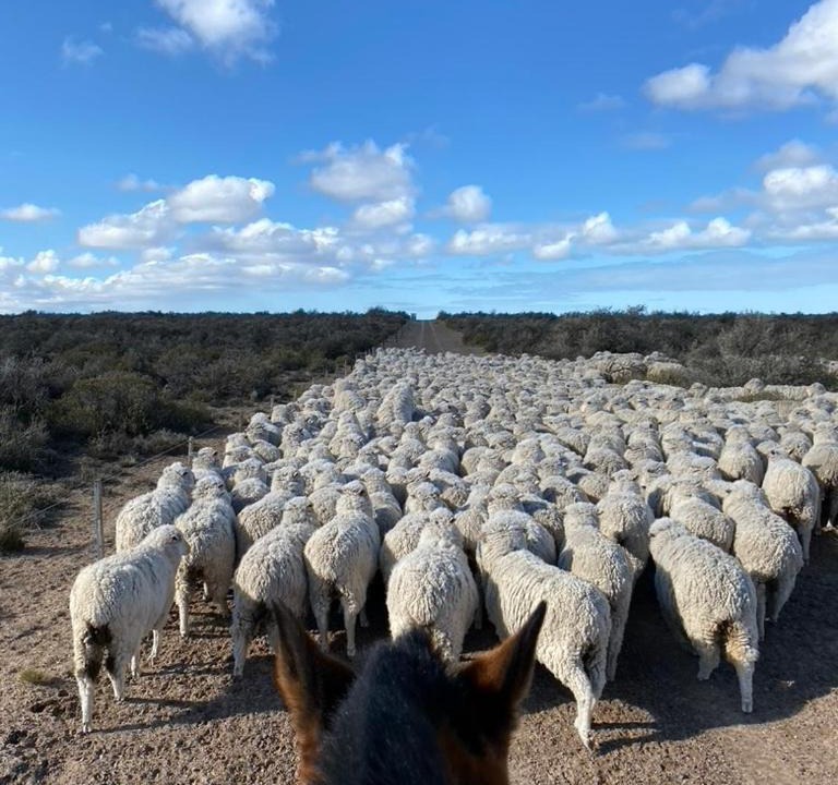 Photo of Others in Gaiman