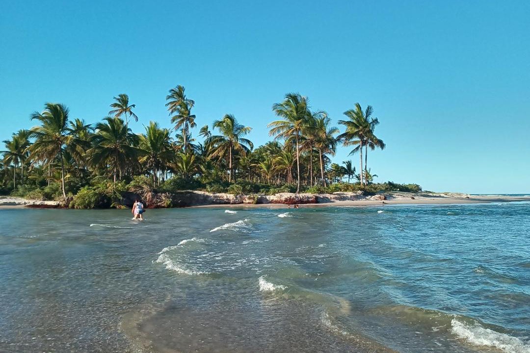 Photo of Others in Aritagua
