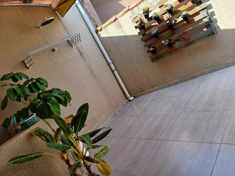 Photo of Others in Sorocaba