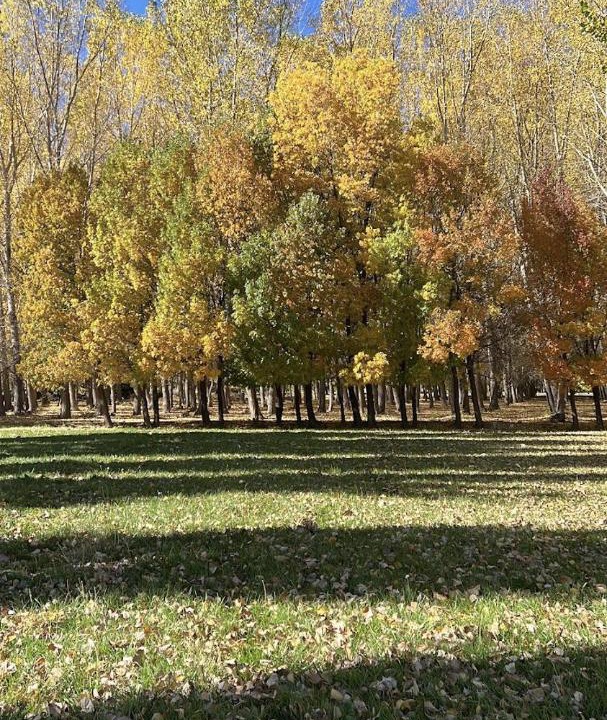 Photo of Others in Uspallata