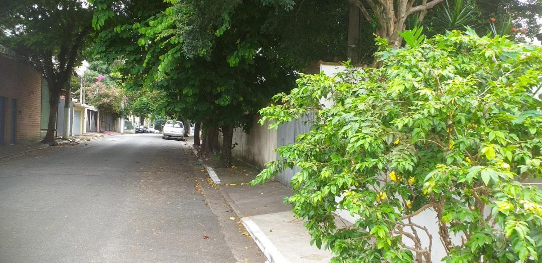 Photo of Others in Sao Paulo