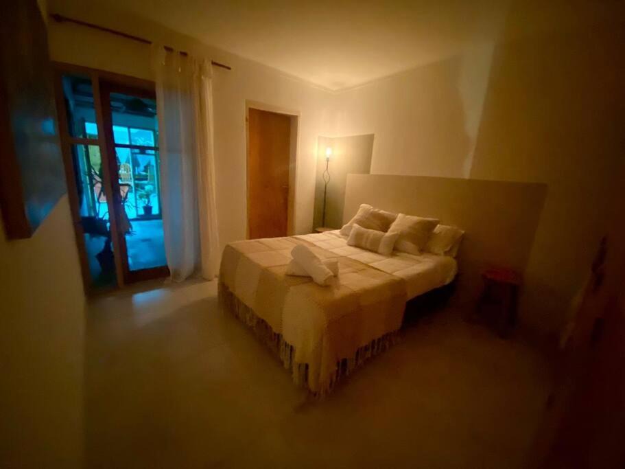 Photo of Others in Tupungato