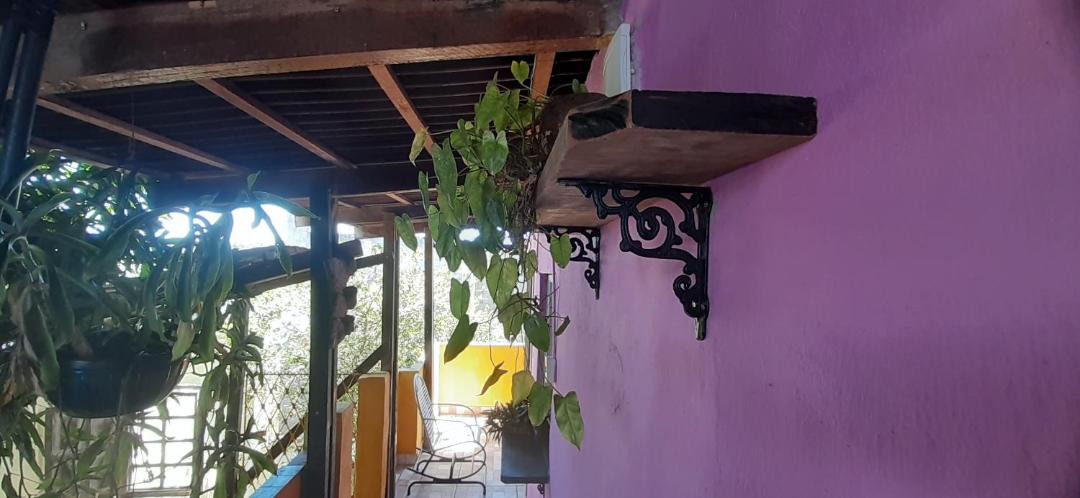Photo of Others in Olinda