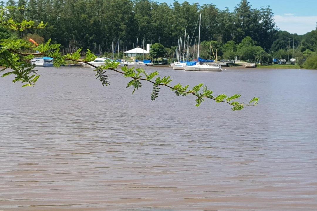 Photo of Outdoor in Concordia