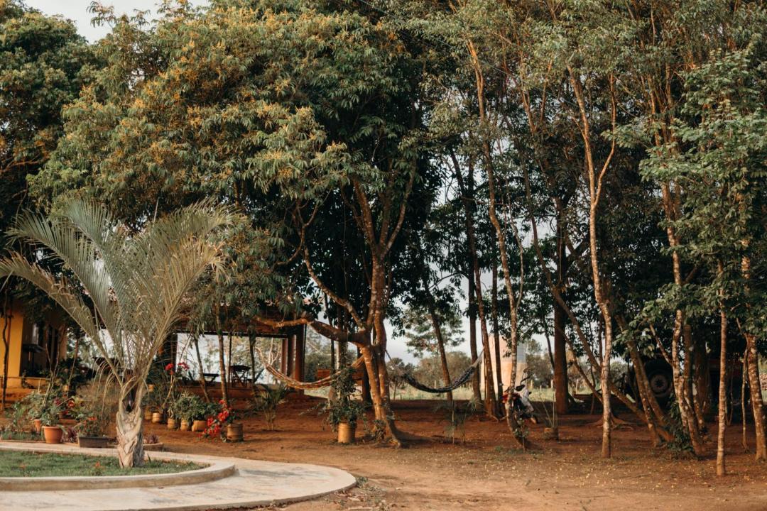 Photo of Others in Ubajara National Park