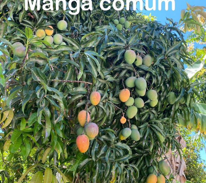 Photo of Others in Ibicoara
