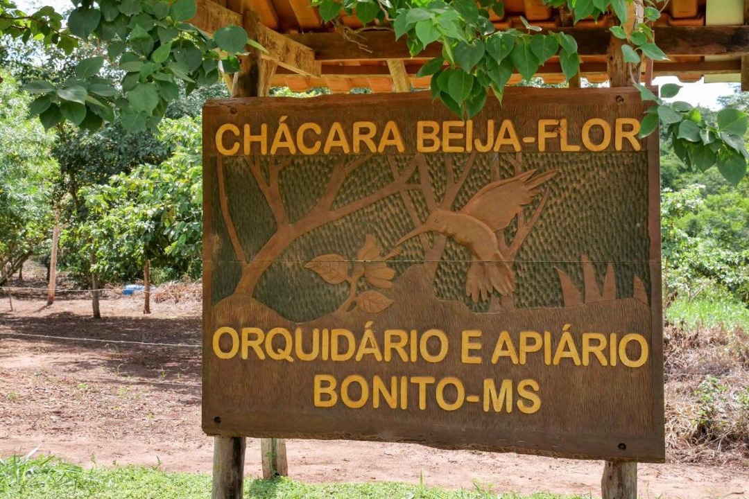 Photo of Others in Bonito