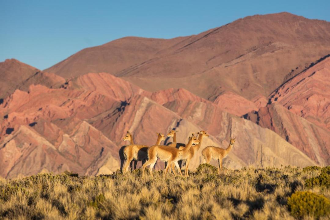 Photo of Others in El Encon