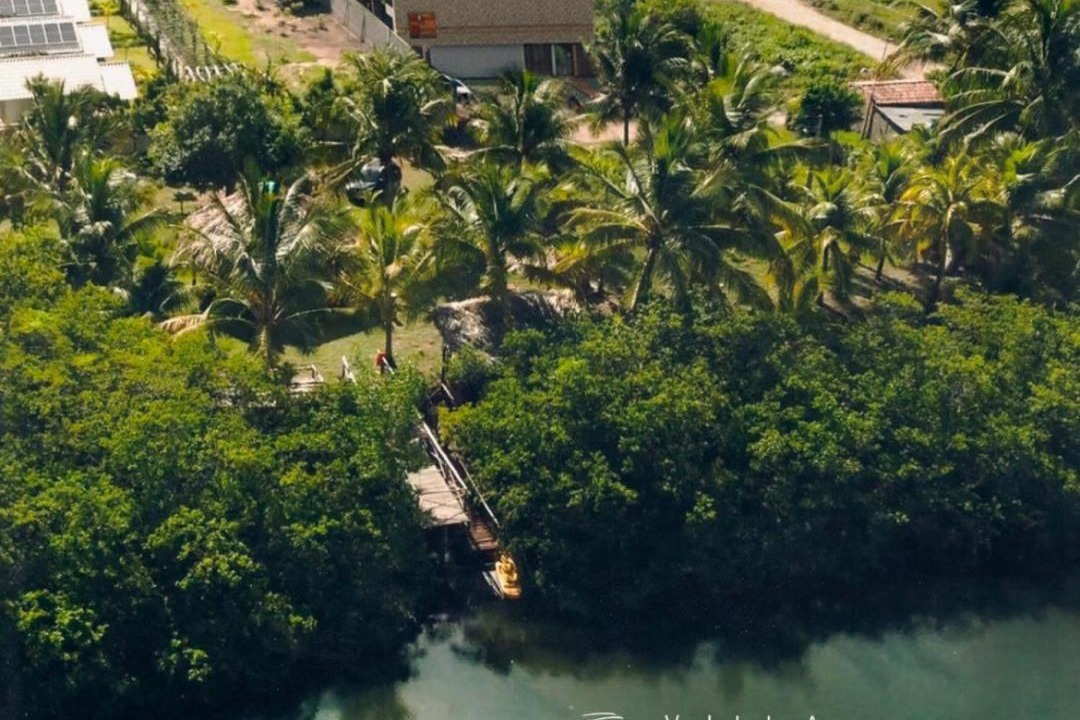 Photo of Others in Tatuamunha