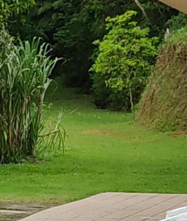 Photo of Others in Capelinha