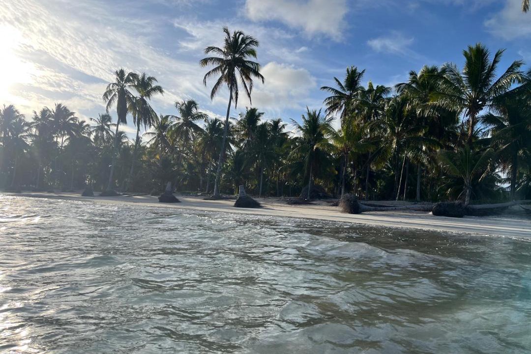 Photo of Others in Tatuamunha