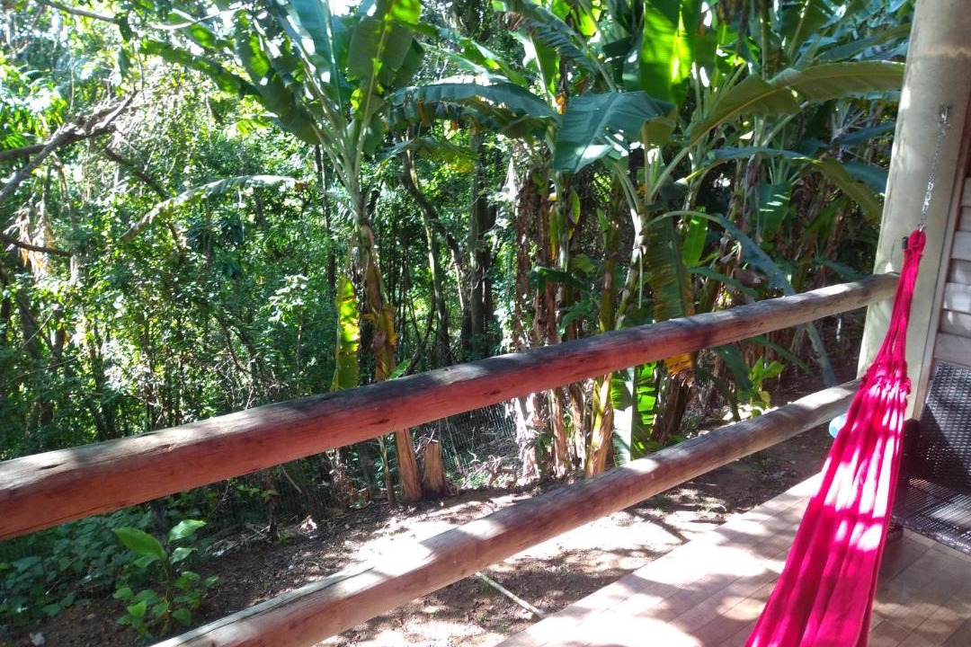 Photo of Others in Pescaria