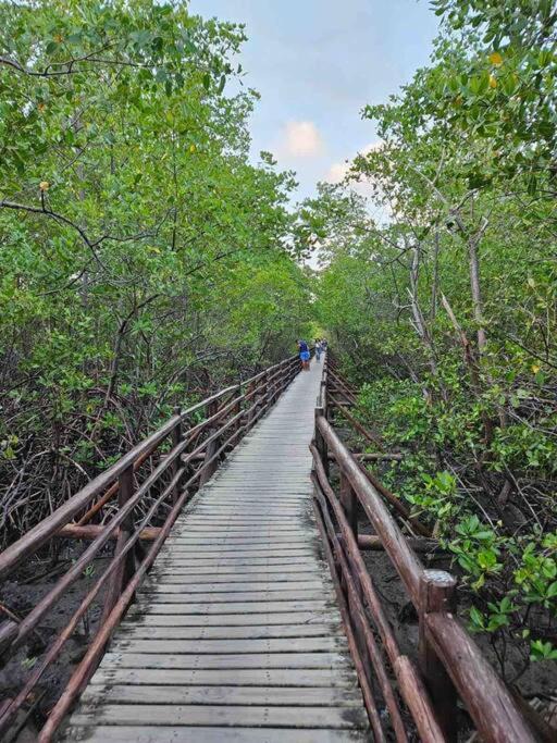 Photo of Others in Tatuamunha