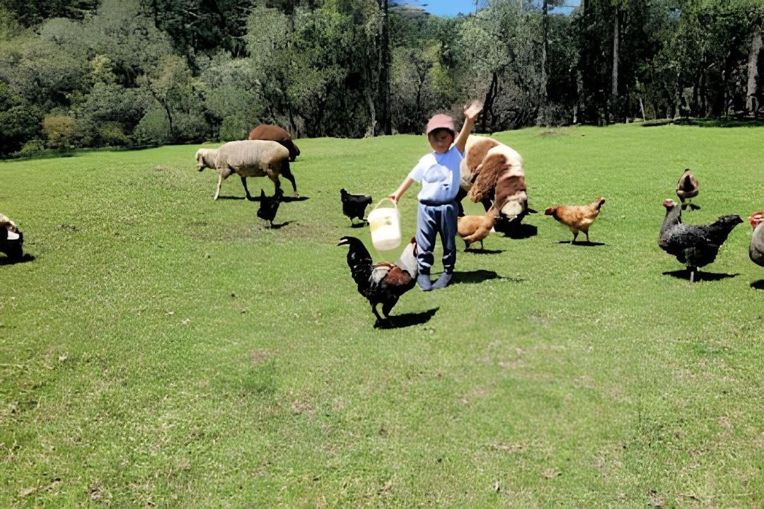 Photo of Others in Sao Joaquim
