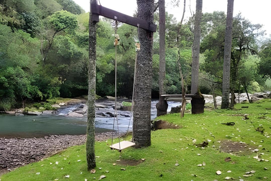 Photo of Others in Sao Joaquim