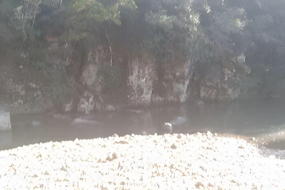 Photo of Others in Sao Joaquim