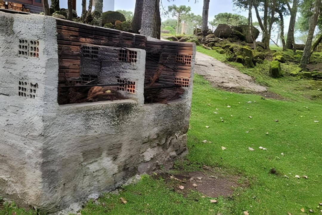 Photo of Others in Sao Joaquim