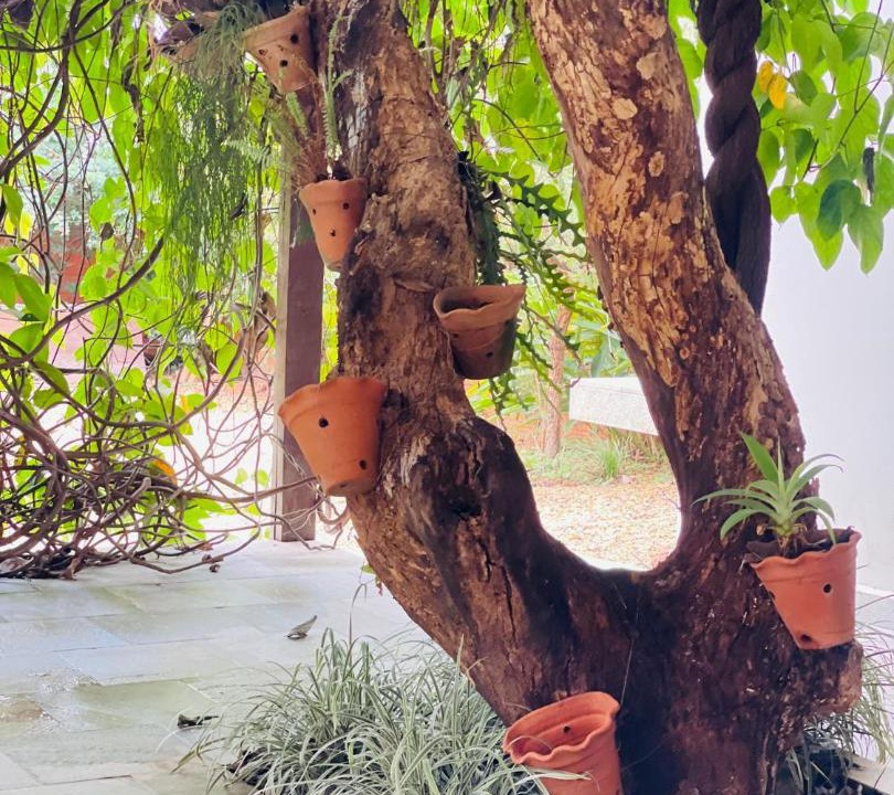 Photo of Others in Pirenopolis